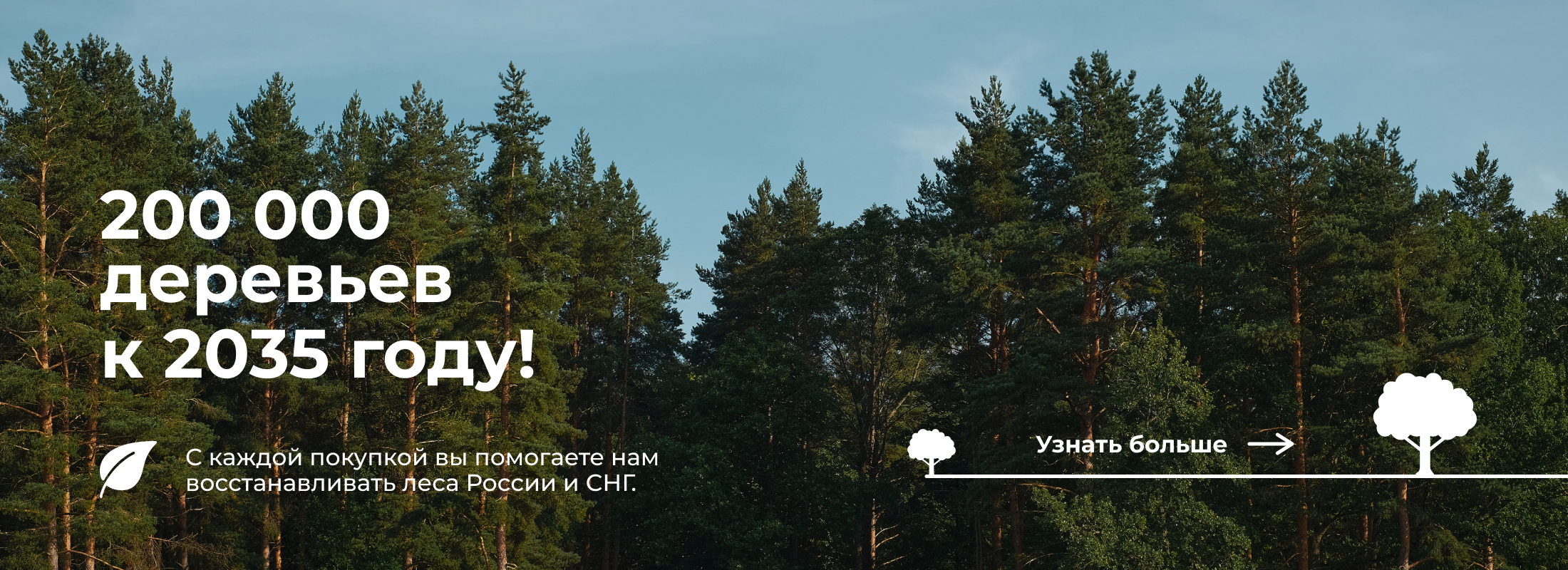 200 000 деревьев к 2035 году
