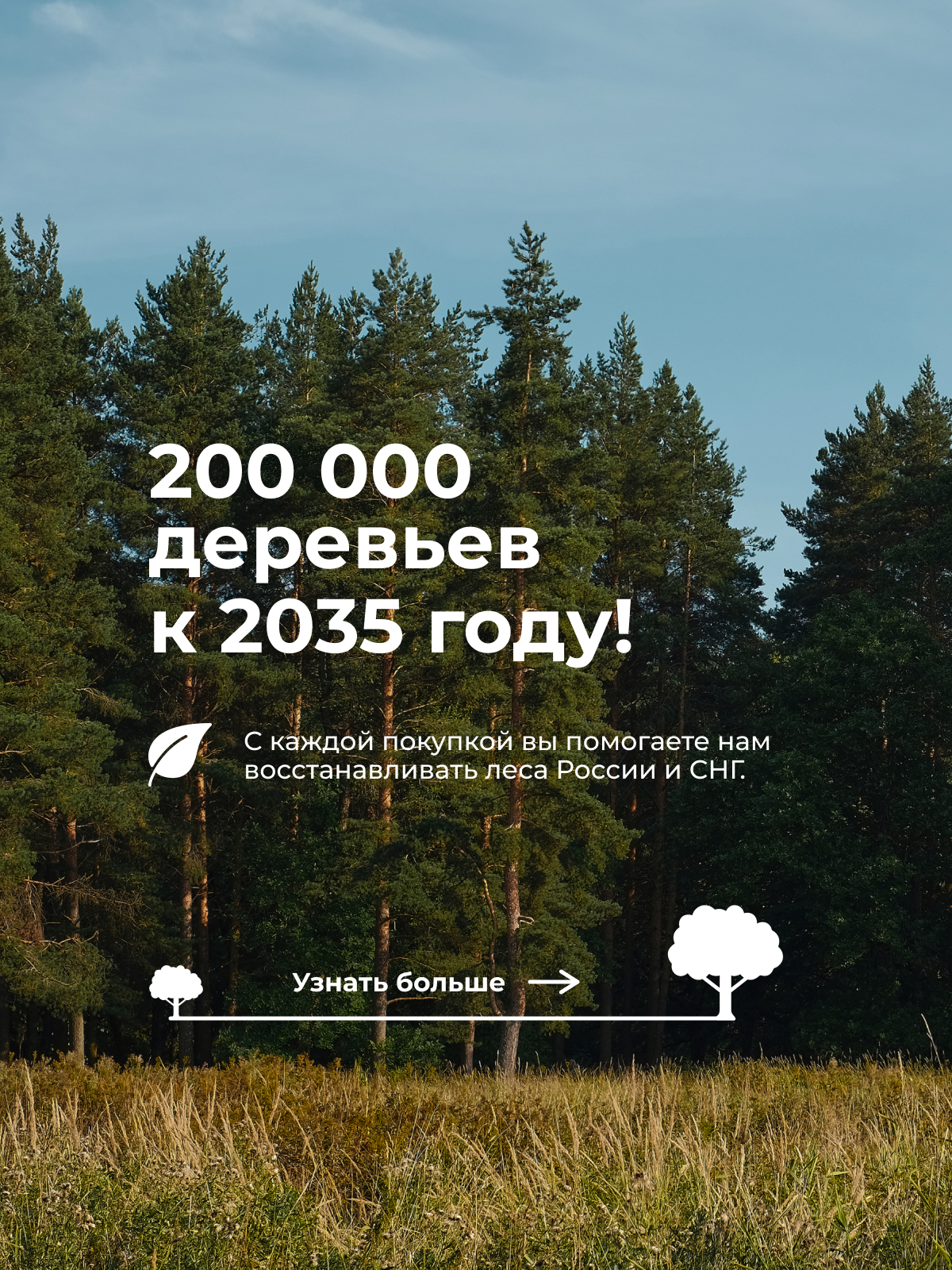 200 000 деревьев к 2035 году